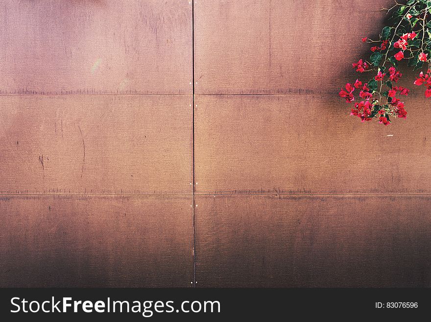 Flowers on wood paneled fence