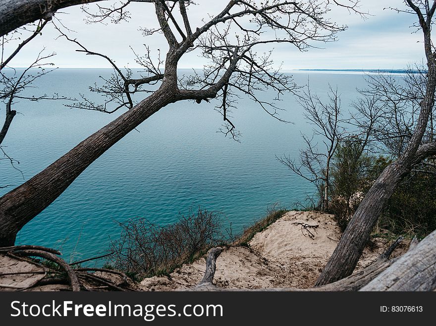 A cliff with trees by the seashore. A cliff with trees by the seashore.