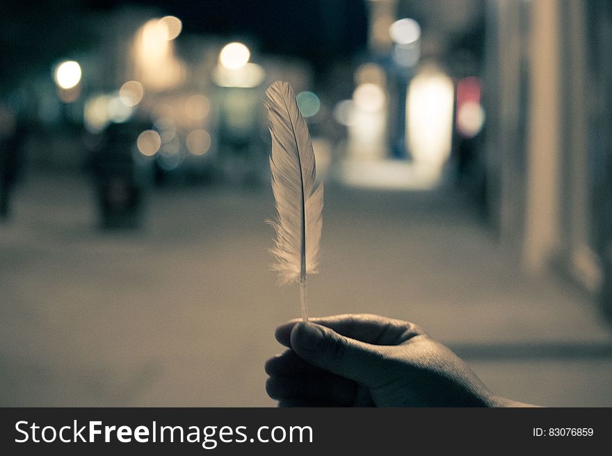 Hand Holding Feather