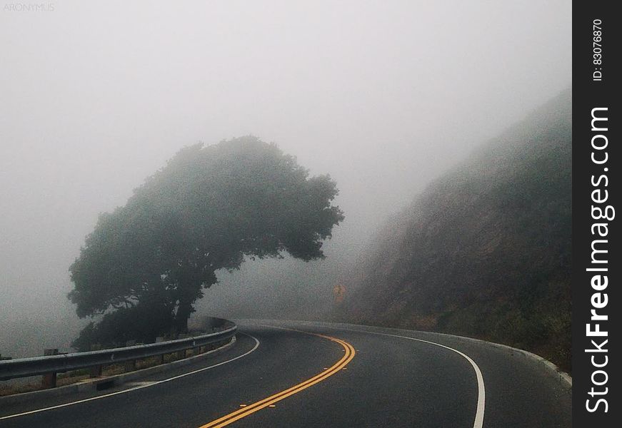 Black Asphalt Road Near Mountain and Green Leafed Tree ]