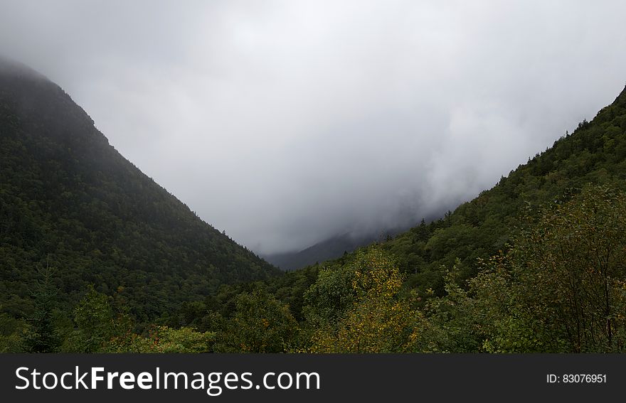 Green Trees Beside Mountains With Fogs during Daytime