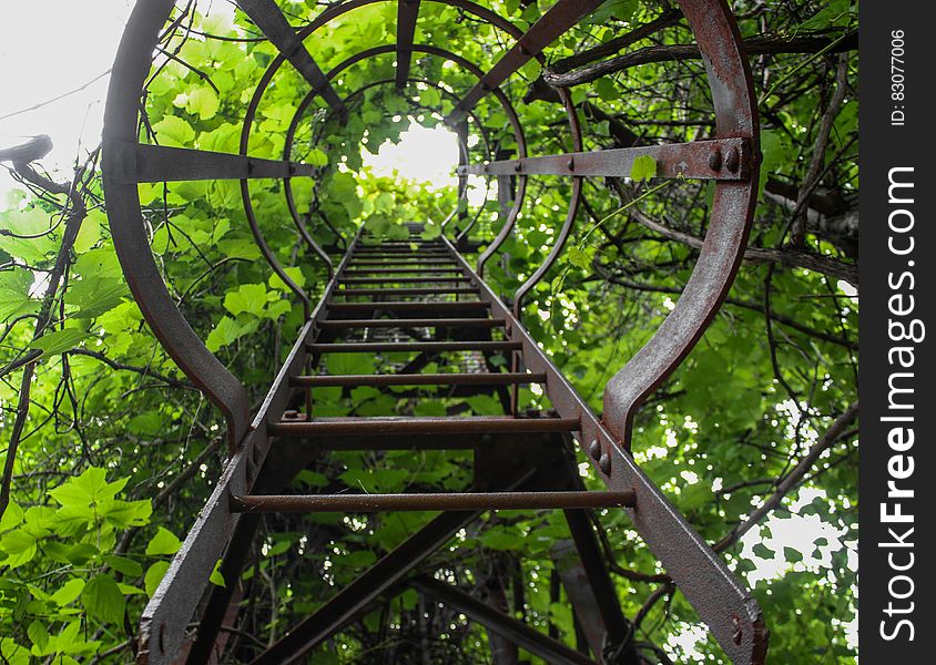 Brown Metal Steep Ladder