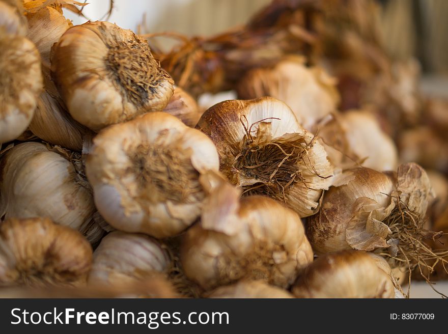A pile of harvested fresh garlic bulbs. A pile of harvested fresh garlic bulbs.