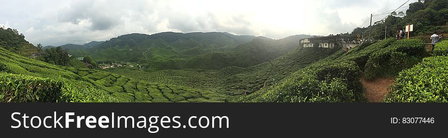 Panoramic Photography of Green Mountain Range