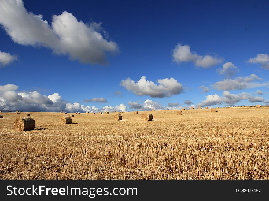 Hays on Grass Field Under Blue Sky and White Clouds during Daytime