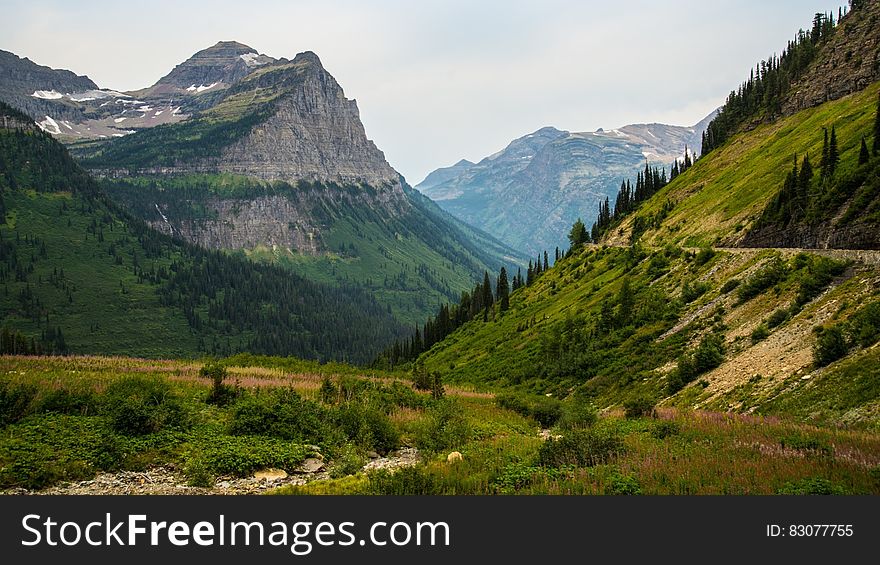 Green And Gray Mountain