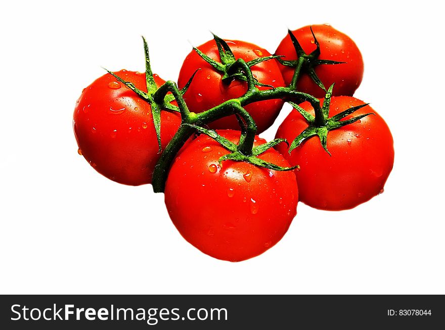 Red Green Tomato Fruit