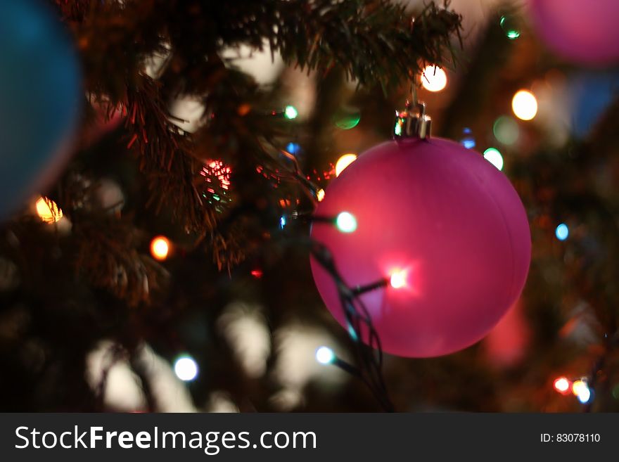 Close-up of Christmas Tree at Night