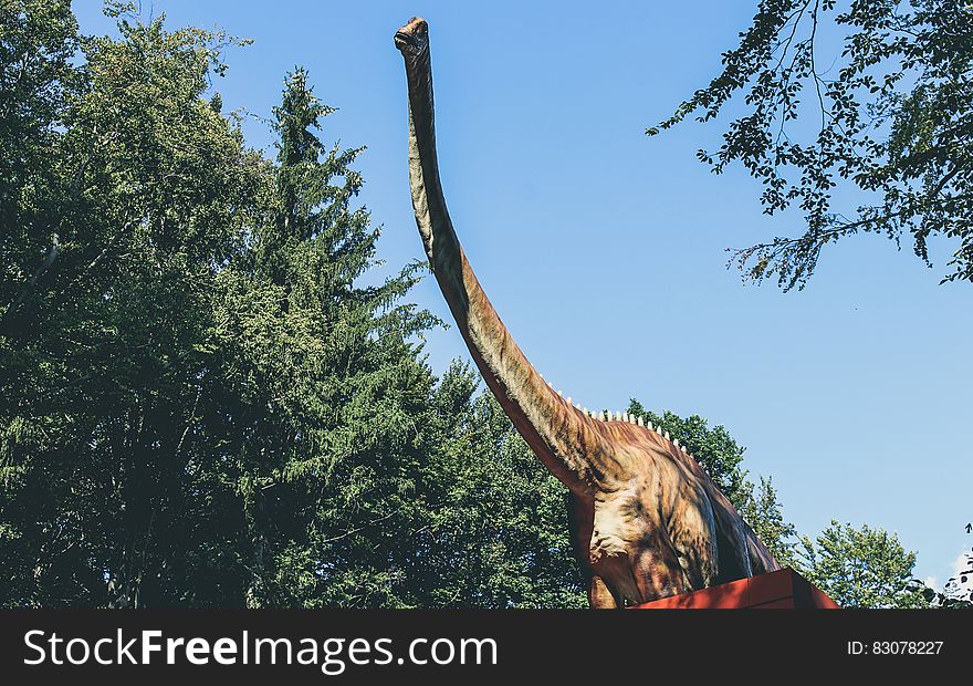 A long necked dinosaur in a park