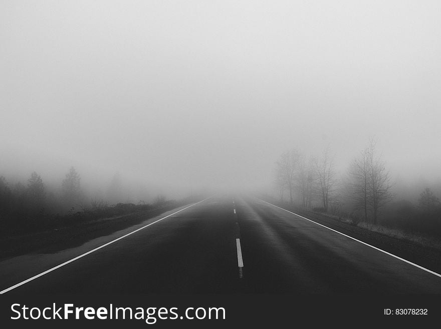 Foggy Road