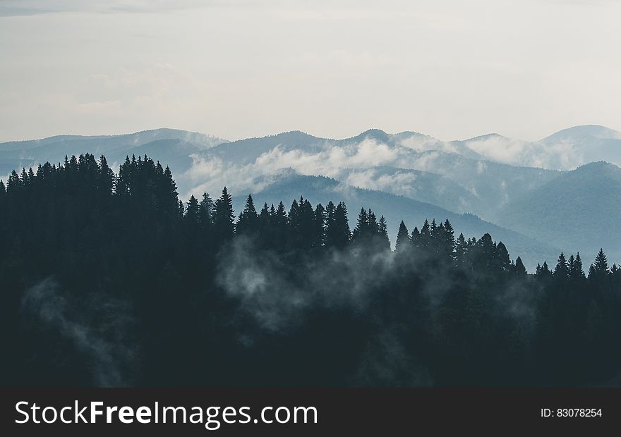 View from above with mountains top and forest. View from above with mountains top and forest.
