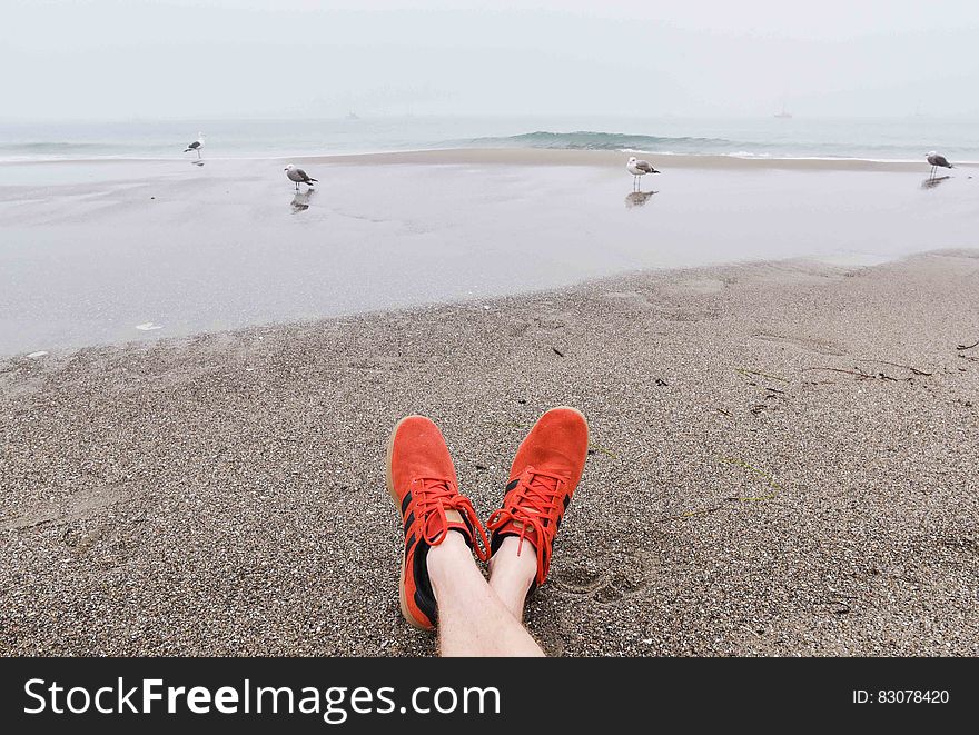 Person relaxing on the beach watching seagulls