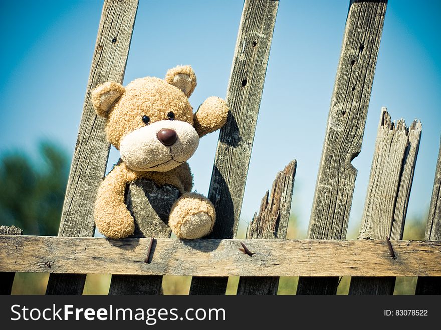 Brown Teddy Bear on Brown Wooden Fence