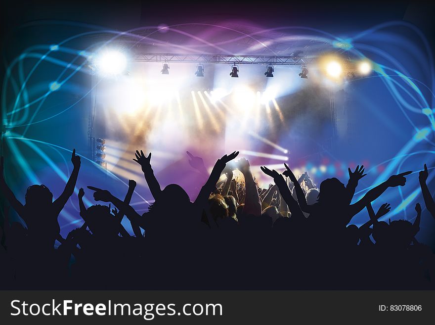 Silhouettes of people at a concert. Silhouettes of people at a concert