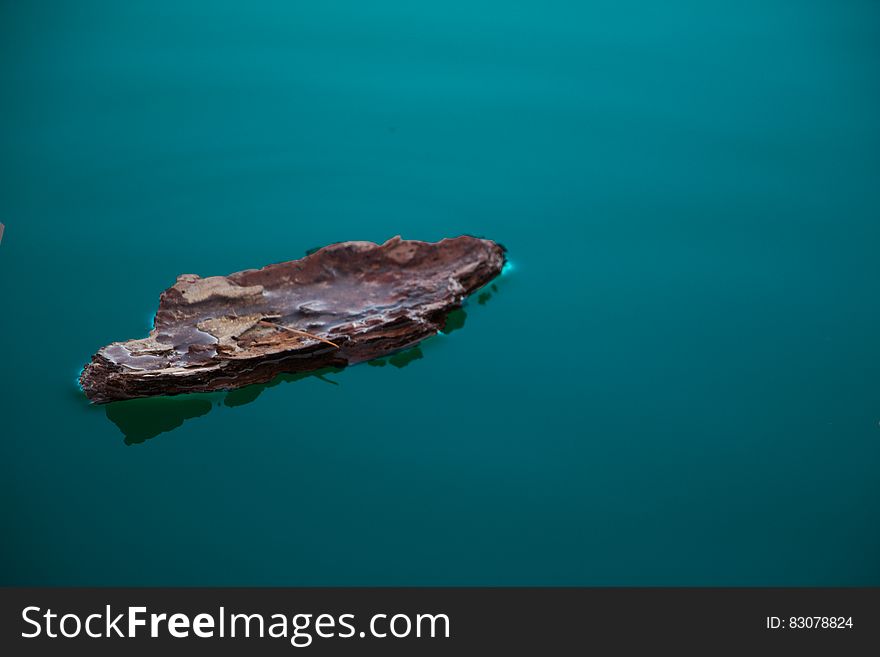 Boat In Water