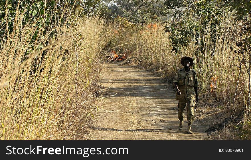 African male ranger walking on savanna path, sunny day. African male ranger walking on savanna path, sunny day.