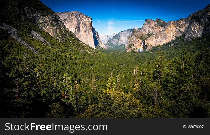 Green Forest Trees Between Beige Rock Formation Under Clear Sky During Daylight