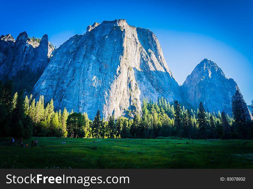 Green Leaved Trees Near Mountains