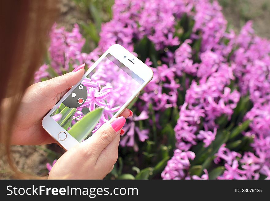 Woman photographing flowers with smartphone app in the spring season