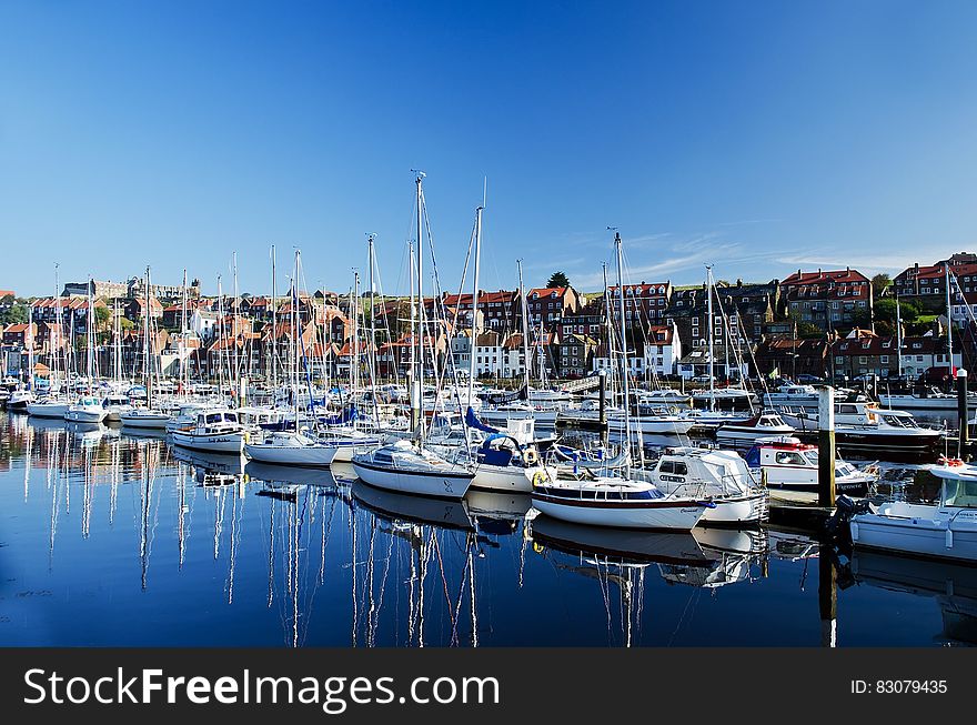 White Sailing Boats Near Shore during Daytime