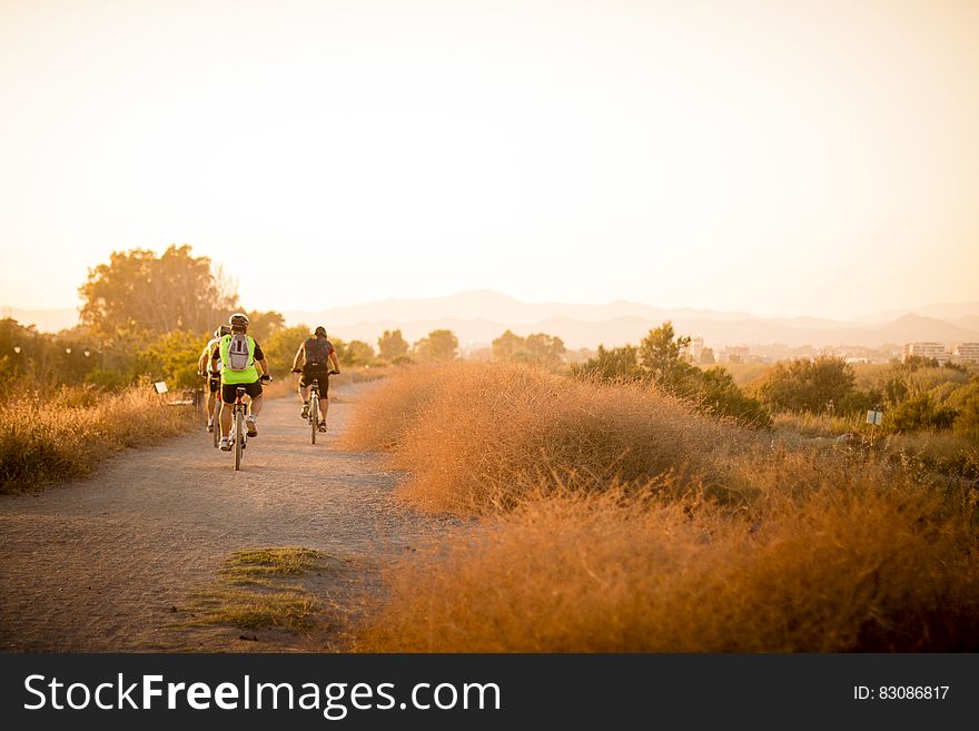 Bicyclists On Country Road