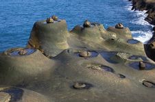 Strange Rocks, Eggs And Nest Stock Image Strange Rocks, Eggs And Nest Stock Image