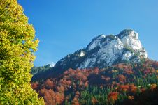 Autumn Summer Hill Landscape Royalty Free Stock Photography