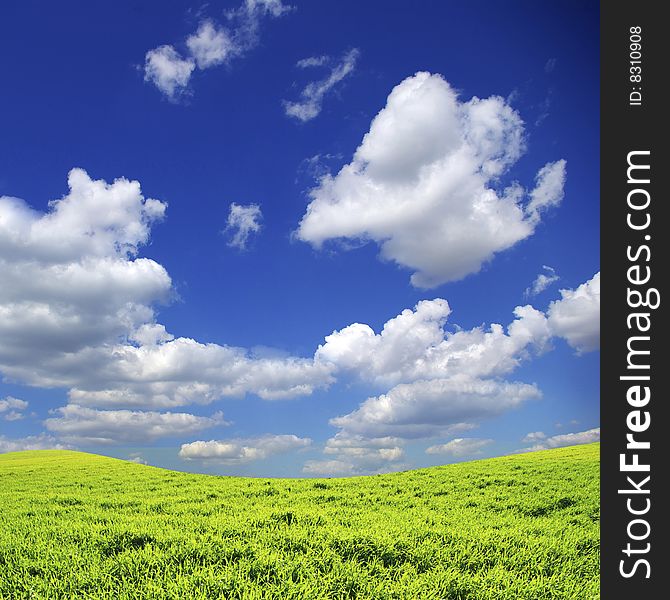 Field on a background of the blue sky