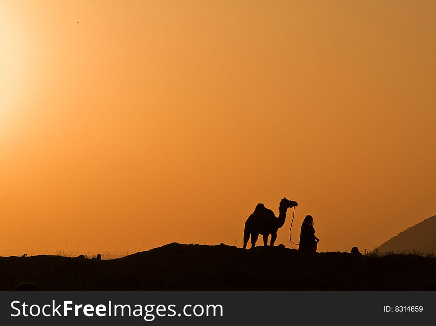 Image is taken on a hillock in a rural region of Rajasthan which depicts a lady drawing her camel back home against the sun. Image is taken on a hillock in a rural region of Rajasthan which depicts a lady drawing her camel back home against the sun.