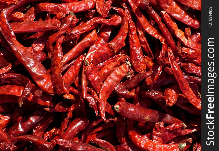 Close up of red hot chili from India. Close up of red hot chili from India
