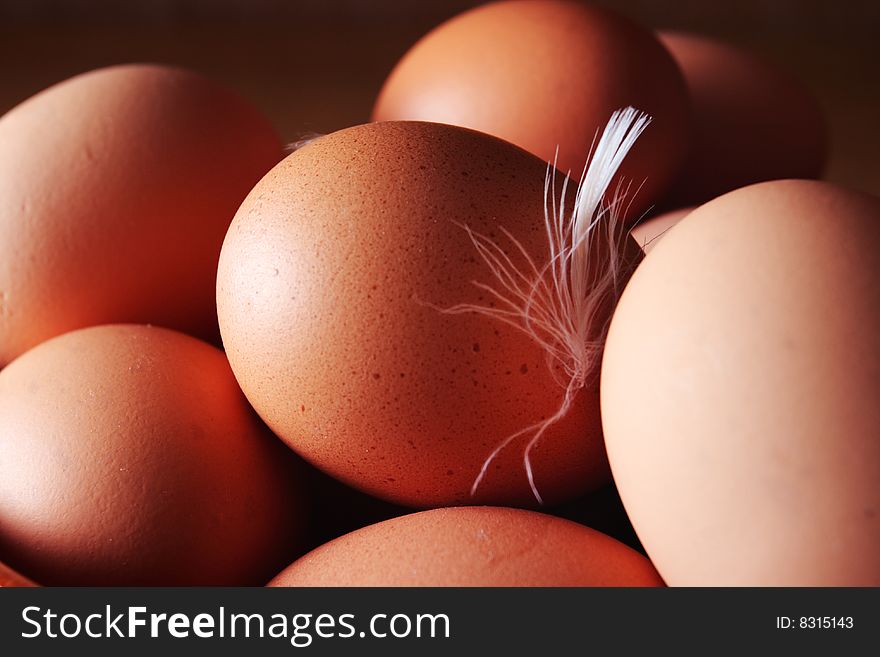 Eggs and small white feather