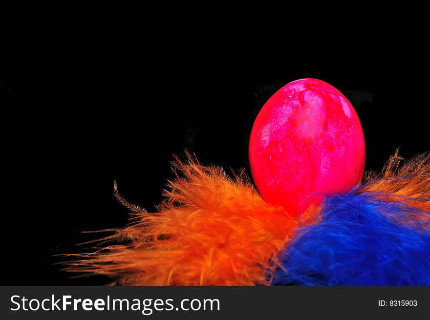Beautiful Easter egg with colored feathers on the black background