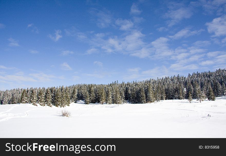 Winter scene, snow, forest and cloudy blue sky, beautiful mountain landscape. Winter scene, snow, forest and cloudy blue sky, beautiful mountain landscape.