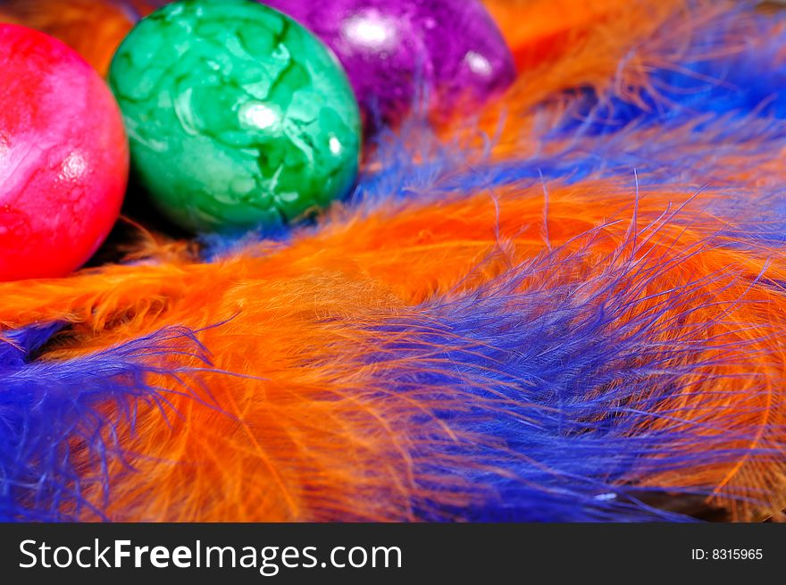 Colorful Easter eggs on the colored feathers