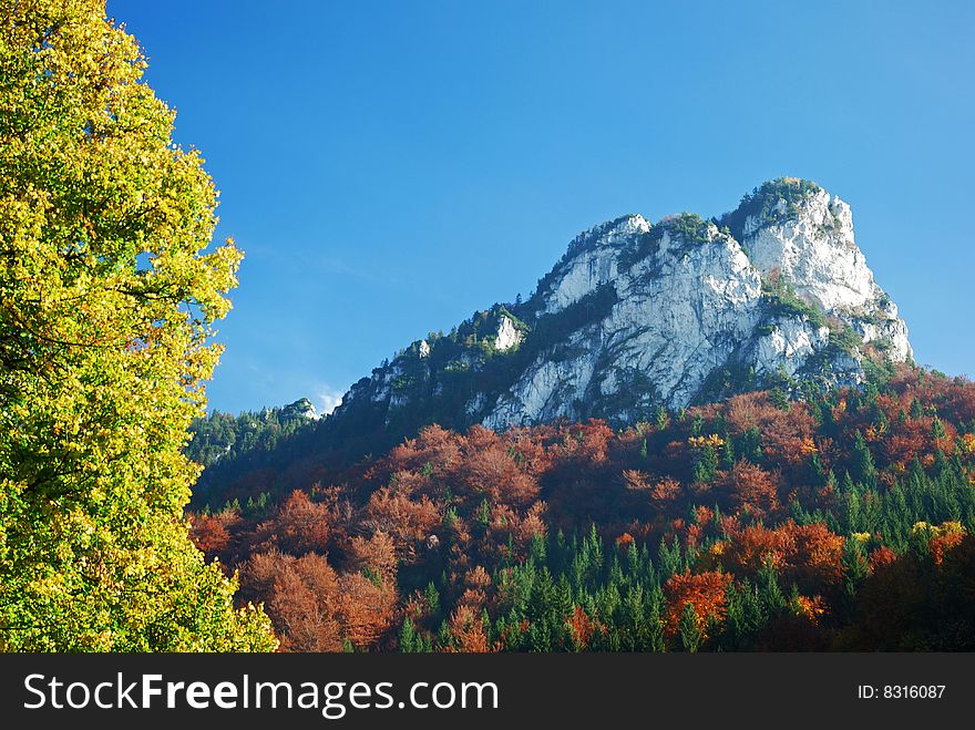 Autumn summer hill Landscape