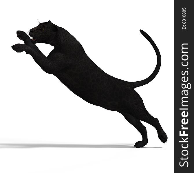 Dangerous Big Cat Black Leopard With Clipping Path Over White. Dangerous Big Cat Black Leopard With Clipping Path Over White