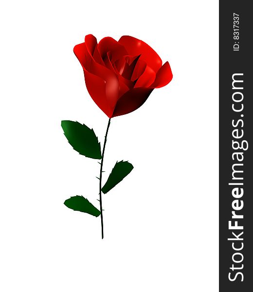 3d red rose isolated on white