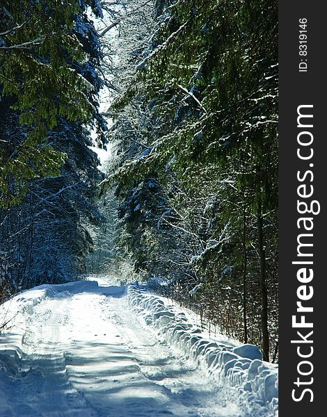 Snowy road at winter forest