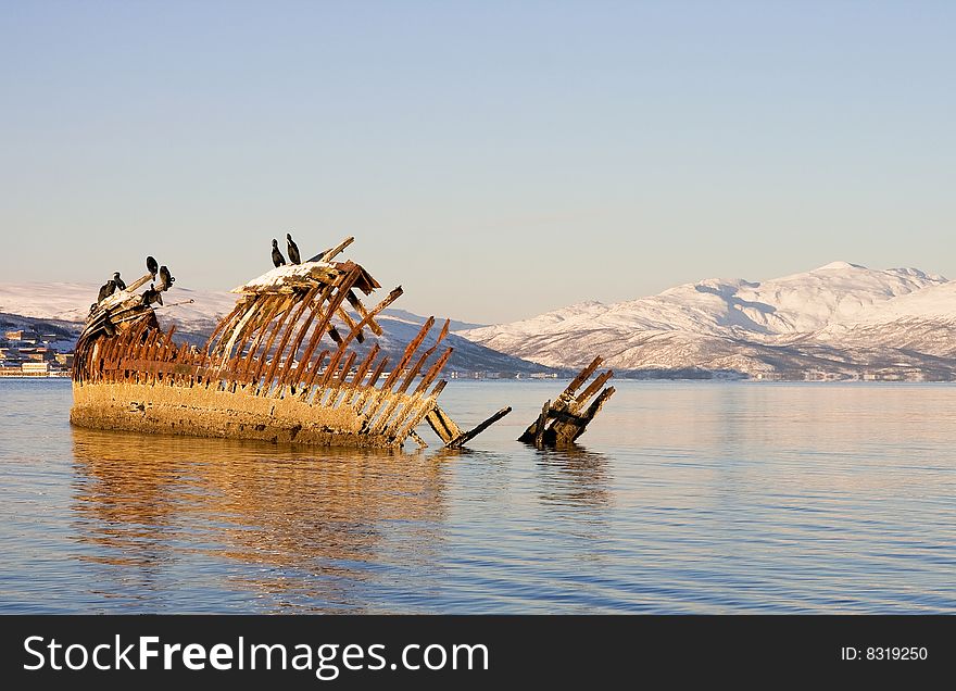 Cormorants sitting on shipwreck in the fiord, by Tromso, Norway. Cormorants sitting on shipwreck in the fiord, by Tromso, Norway