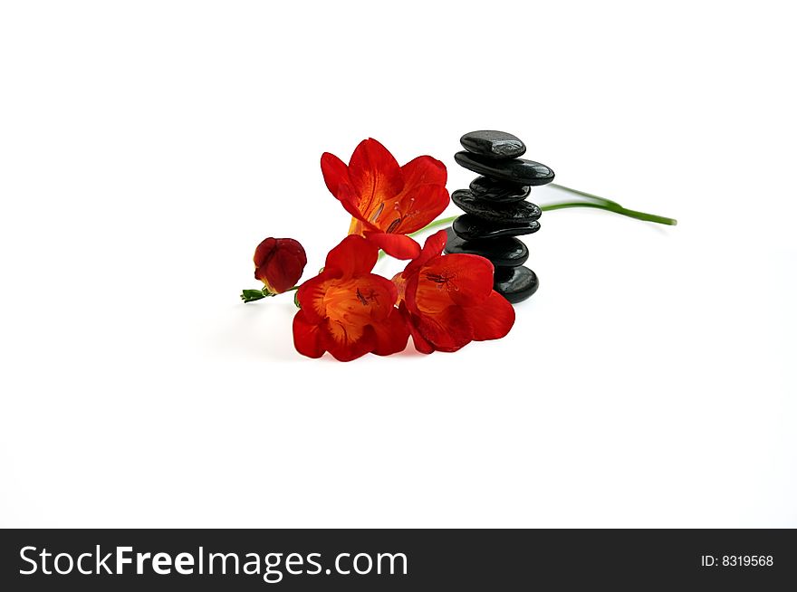 Balancing stones and red day-lilies isolated over white. Balancing stones and red day-lilies isolated over white.