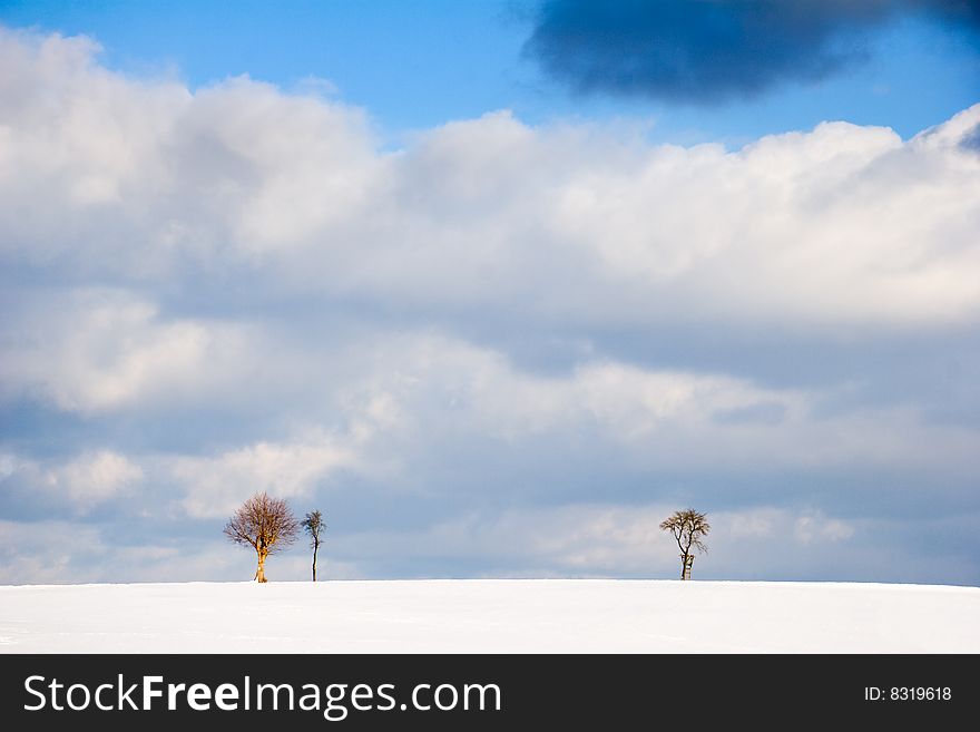 Winter Landscape with trees on horizon and Cloudscape