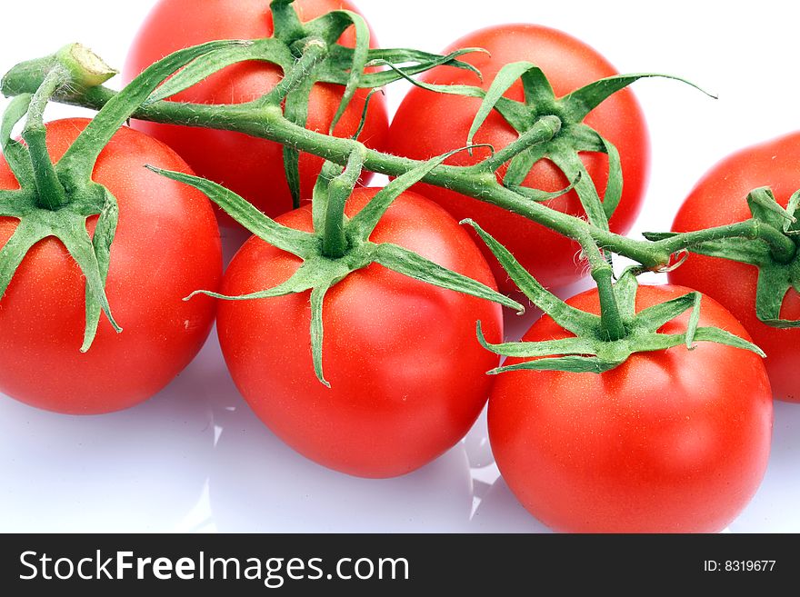 Studio shot of fresh tomato bundle. Studio shot of fresh tomato bundle.