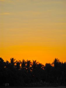 Sunrise Over Palm Trees Royalty Free Stock Photos