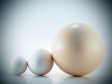 Ostrich, Goose And Hen S Egg Royalty Free Stock Images