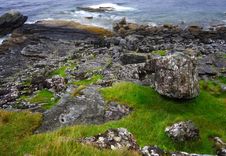 Grass, Rocks And Sea Royalty Free Stock Photography