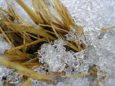 Through Ice Stock Image