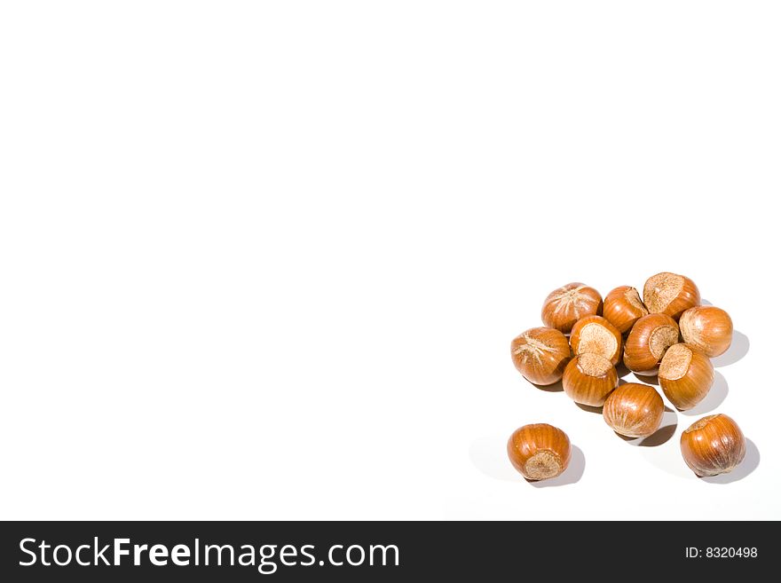 High key coseup of a small collection of hazelnuts on a white background. High key coseup of a small collection of hazelnuts on a white background