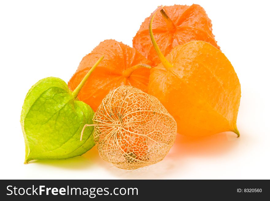 High key image of sevaral physalis fruits of different colours on a white background. High key image of sevaral physalis fruits of different colours on a white background
