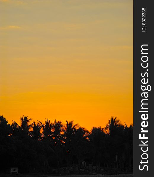 The sun rises over palm trees on a tranquil beach in Troncones, Mexico. (State of Guerrero). The sun rises over palm trees on a tranquil beach in Troncones, Mexico. (State of Guerrero)