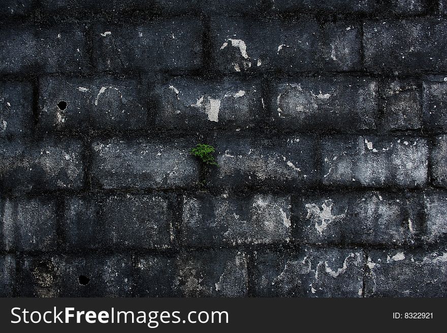 Background made of old wall. Background made of old wall.